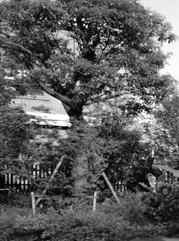玄武注册公司